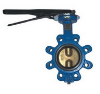 Two-Pc Stem Butterfly Valve Without Pin